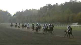 Velka Pardubice 2008  full race [upl. by Latreshia]