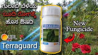 UPL Terraguard fungicide for powdery mildew  Triflumizole 4214 SC  New fungicide [upl. by Sirtimid]