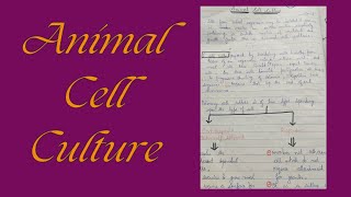 Animal cell culture [upl. by Freddie]