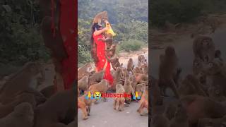 🙏 बहुत ही भूखी है मेरी family 🐒humanity respect monkey viralshort animals ytshorts friends 🙏🙏 [upl. by Pack]