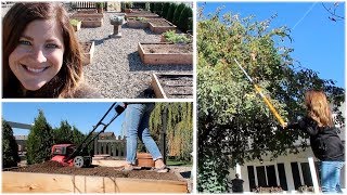 Veggie Garden Cleanup Planting Garlic amp Fireblight in My Crabapple 🌿👩‍🌾 Garden Answer [upl. by Towny]