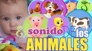 Sonidos de Animales para bebes 🐕 Aprende los Animales 🐕 En ESPAÑOL para bebés [upl. by Nailij]