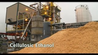 Renewable Biofuels and Biochemicals Cellulosic Ethanol [upl. by Ellennad]