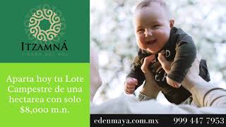 ITZAMNA TIERRA DEL SOL LOTES CAMPESTRES DESDE 80000MN [upl. by Stockmon]