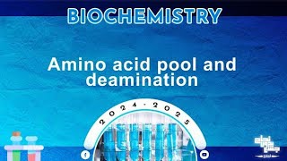 Rev of L27 Protein metabolism amino acid pool Oxidative deamination of amino acids Biochemistry [upl. by Ruhtua206]