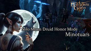 Solo Moon Druid Minotuars  Honor Run [upl. by Ecirum]