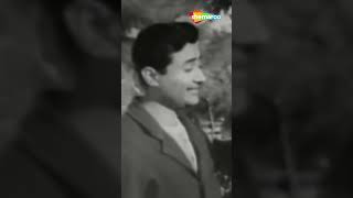 Chhod Do Aanchal Jamaana Kya Kahega  Paying Guest 1957  Dev Anand  romanticsongs [upl. by Linzer]