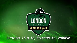 2024 London Classic Yearling Sale  Day 1 [upl. by Alhsa]