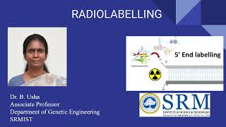 Radiolabelling  Dr Usha B  Genetic Engineering  SRM [upl. by Fotzsyzrk]