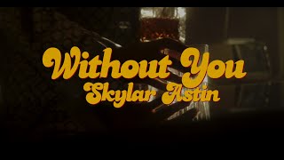 Skylar Astin  Without You Official Music Video [upl. by Dowling]