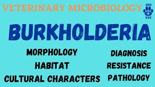 Burkholderia Microbiology  Bacteriology [upl. by Deenya]