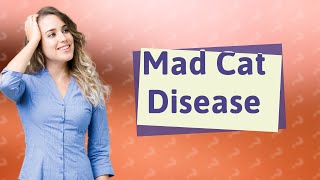 What is the mad cat disease [upl. by Clorinde]