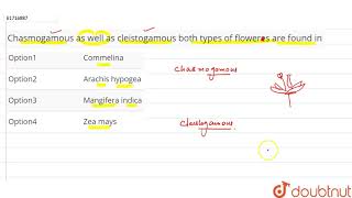 Chasmogamous as well as cleistogamous both types of floweres are found in [upl. by Eckhardt]