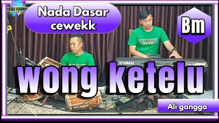 Wong ketelu karaoke  Ali gangga nada cewe Bm versi Cirebonan [upl. by Germayne]