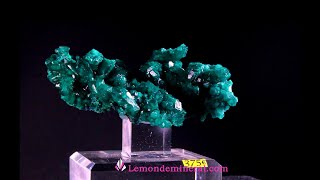 Très belle dioptase origine R D du Congo ancienne collection78mm x 35mm x H  42mm x 90g [upl. by Seward]