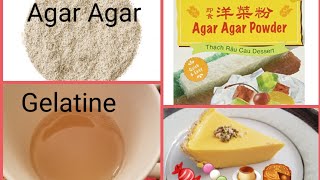 Gelatine and Agar Agar FAQ  What you need to know  Tips and Tricks to Gelatin amp Agar Agar Success [upl. by Ynned]