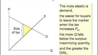 The Costs of Taxation [upl. by Oremar]