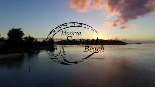 Moorea Sunset Beach  Appart hotel en polynésie [upl. by Newberry]