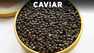 How To Eat Caviar [upl. by Lacram163]