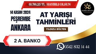 14 Kasım 2024 Perşembe ANKARA At Yarışı Tahminleri [upl. by Mcgrody276]