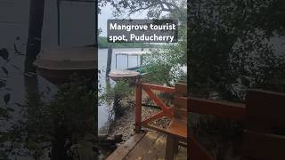 Mangrove forest tourist spot Puducherry shorts tourism [upl. by Sax45]