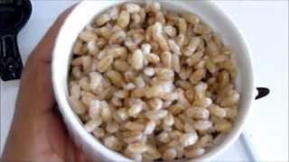 How to Cook Barley in 15 minutes [upl. by Anitnuahs]