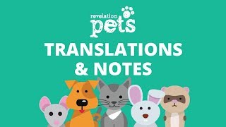 Translations amp Notes [upl. by Lacy146]