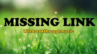 Missing Link Official Lyric Video [upl. by Assiar258]