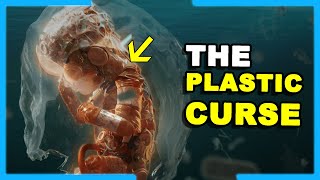 The Plastic Curse From Miracle Invention to Global Crisis  ST Boss [upl. by Aihsemek359]