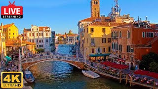 🔴 4K Live Cam of Ponte delle Guglie Venice  View from Hotel Leone Venezia  Live stream ライブカメラ [upl. by Hu514]