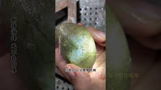 Price does not mean value Jade Jadeite raw stone Jewelry DOU Assistant DOU popular [upl. by Carilla]