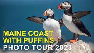 Maine Puffin Photo Tour and Workshop 2023 Group Two Highlights [upl. by Ma780]