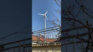 wind turbine 1kw 2 [upl. by Tammie]