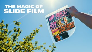 Slide Film is Simply Incredible [upl. by Ronoc]