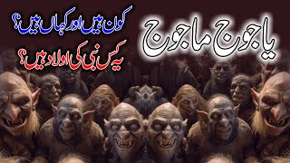 Yajooj Majooj Kon Hain  Wall Of Yajooj Majooj  Hazrat Zulqarnain  Urdu  Hindi Story [upl. by Nolrah]