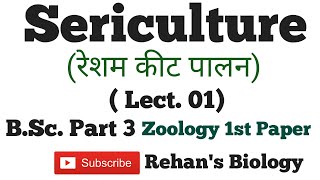 Sericulture Rehans Biology Sericulture in hindi Silkworm Life cycle Zoology BSc iii [upl. by Niltac]