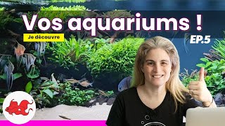 Vos aquariums Ep5 [upl. by Annayat]