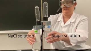 Conductivity Testers  Sugar and Salt [upl. by Gilcrest]