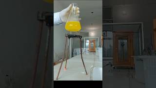 Reaction test in chemistry lab 🧪 [upl. by Annerahs]