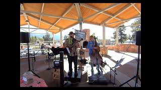 quotPEARLY SHELLSquot  live cover performed at Woodland Park Farmers Market Colorado [upl. by Einad]