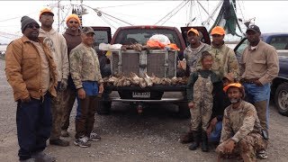 Bensons Kennel Louisiana Rabbit Hunting With Beagles [upl. by Guevara]