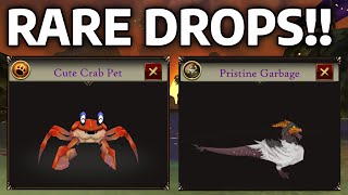 AQ3D New RARE Cute Crab Pet amp Pristine Garbage Travel Form AdventureQuest 3D [upl. by Zelten877]