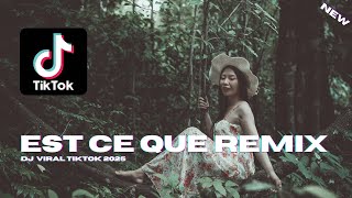 EST CE QUE REMIX VIRAL TIKTOK 2024 [upl. by Samul768]