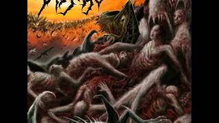 Disgorge  Condemned To Sufferance [upl. by Pauletta]