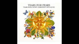 Tears For Fears  Advice For The Young At Heart FLAC  432Hz [upl. by Mavra]