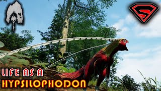 THE ISLE  The life of the HYPSILOPHODON  Annoying or feeding other Dinos with the HYPSI [upl. by Kirwin764]