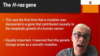 24 Discovery of the Hras gene [upl. by Sandye]