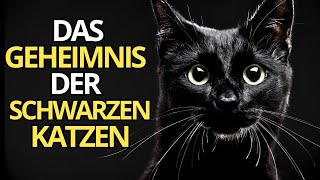 🐈‍⬛ Die geheime Geschichte der schwarzen Katzen und des Aberglaubens KatzenSpiritualität 🐾 [upl. by Hudis]