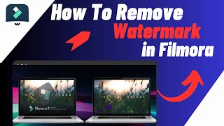 How To Remove WatermarkLogo From Video In Filmora  3 EASY METHODS [upl. by Haldeman]