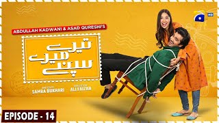 Tere Mere Sapnay Mega Episode 14  Eng Sub  Shahzad Sheikh  Sabeena Farooq  24th March 2024 [upl. by Aseela]